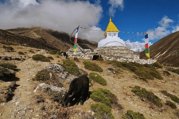 white-buddhist-stupa-with-prayer-flags-in-the-himalayan-1mountains
